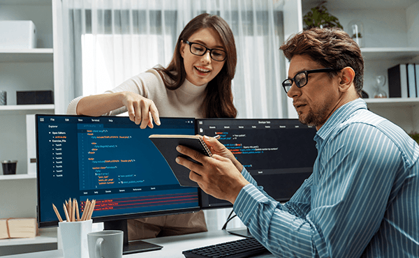 Enterprise Software Development